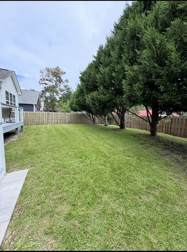 Well-kept landscaped residential yard